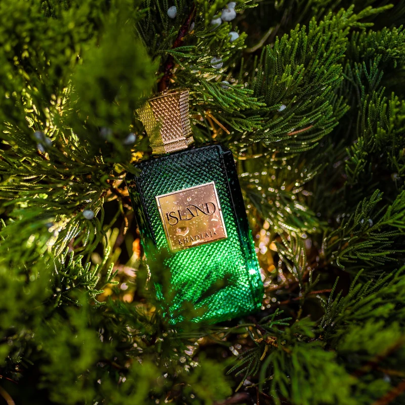 Extrait de parfum di lusso unisex profumo firma lunga durata_voghion.com