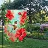 Hummingbird Red Hibiscus Garden Flag, Double Sided 12 x 18 Inch llz