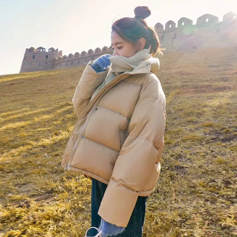 Doudoune courte en coton noir pour femme, veste décontractée, épaissie et amincissante, JxJacket, nouveau, 2023