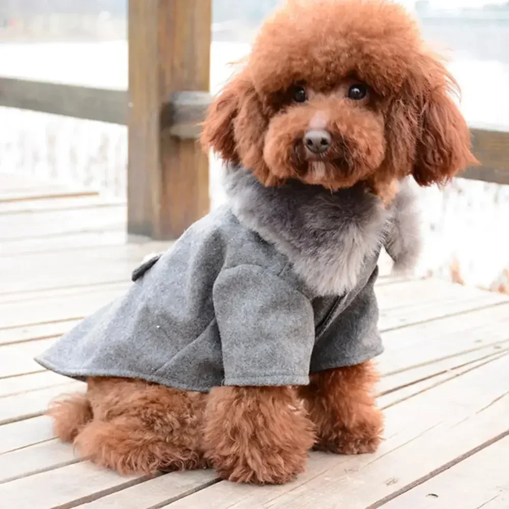 Winter Dog Clothes winter pet coat with a fur collar Jacket Coat Sweater Warm Padded Puppy Apparel for Small Medium Dogs Pets