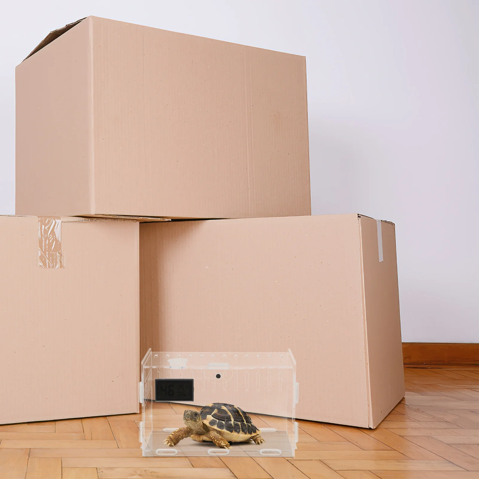 

Acrylic Transparent Reptile Box Spider Scorpion Gecko Insect Snake Tortoise High Quality Easy Assembly Acrylic Feeding Box