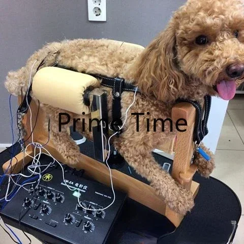 Pet Dog Dogs and Cats Acupuncture Rack Acupuncture Bed Animal Baoding Rack Binding Breeding Rack Paralysis Dog Injection