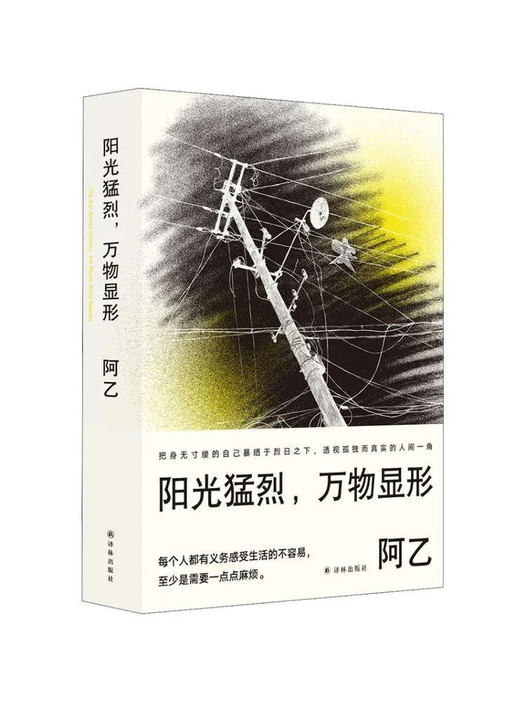 

Book-Winshare The Sun Is Blazing Revealing All Things