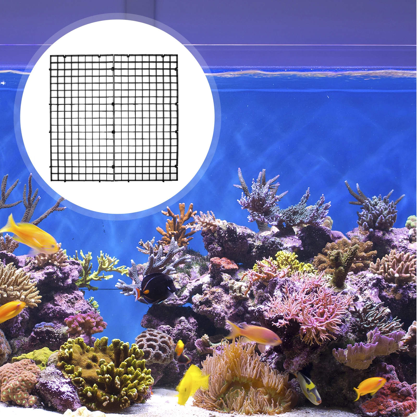 

10 Pcs Isolation Mesh Board Fish Tank Dividers Aquarium Grid Bottom Plate Partition Tray Premium Plastic Separator Breeding Safe