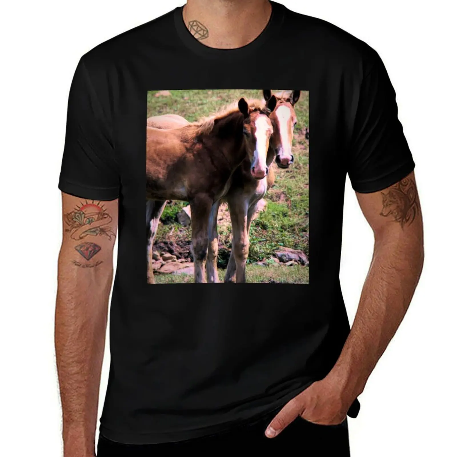 Camiseta con estampado de potros de caballo belga en el condado de Lancaster, Pensilvania, camisetas de lujo para hombre, camiseta divertida con gráficos