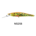 9774--NS258