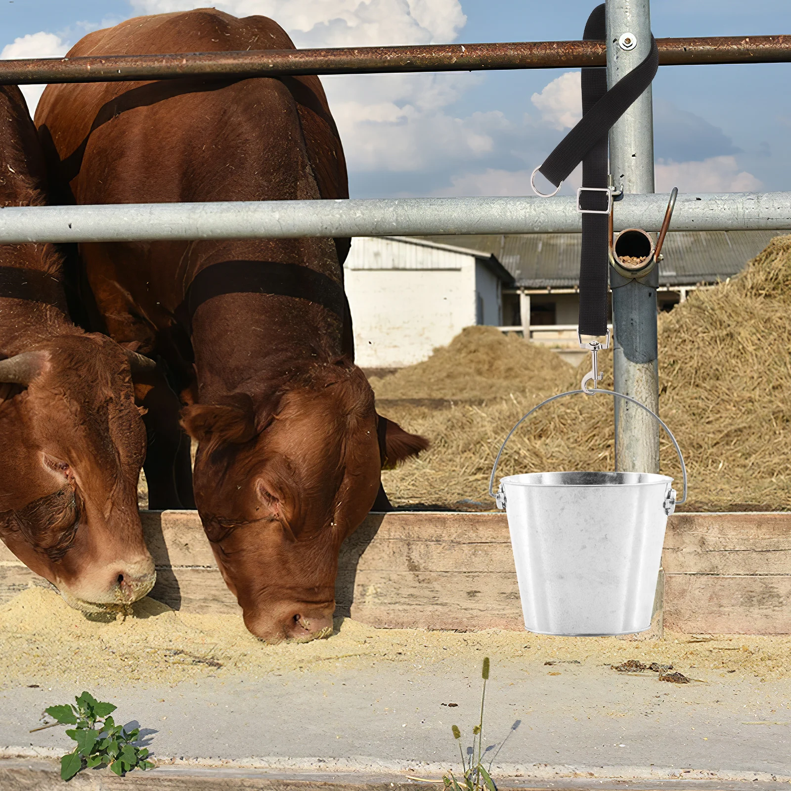 

4Pcs Adjustable Water Bucket Straps For Horses Nylon Strap High-Strength Hanging Loop For Horse Barn Feeding Supplies