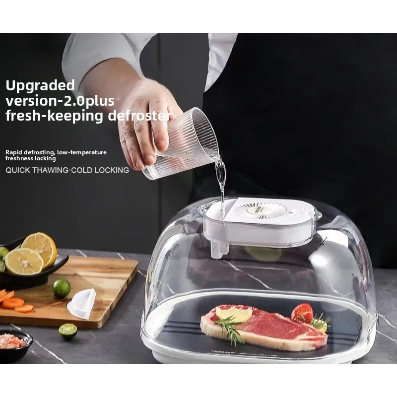 Home Commercial Constant Temp Defrosting Machine, Quick Thaw Plate for Frozen Food Meat Steak, Food Fresh Retain Defrost Device