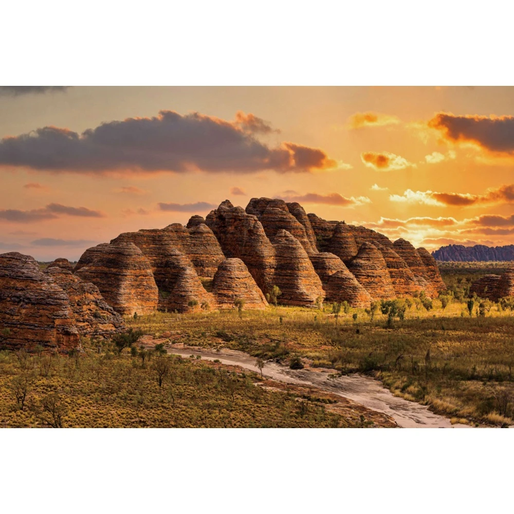 Western Desert Cactus Photography Backdrop Dusk Desert Mountain Shrub Hillside Natural Scene Portrait Background Photo Studio