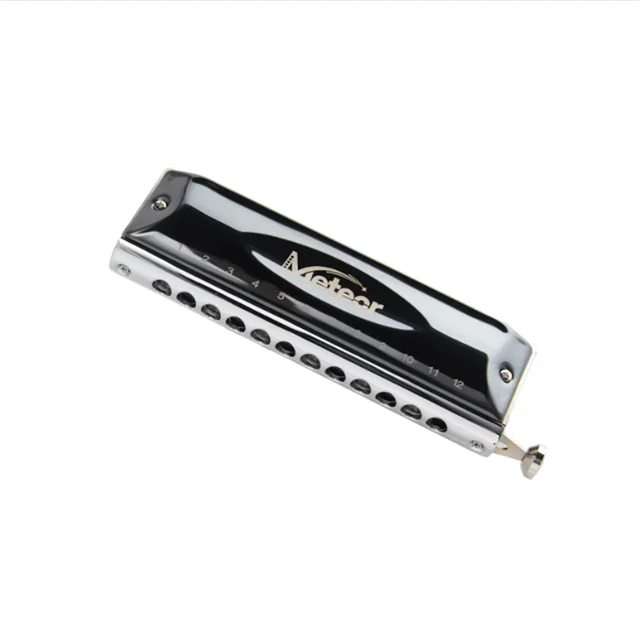 Conjurer  Remarkable 12 Holes 48 Tune Practice Chromatic Harmonica for Students and Performer Musical Instruments