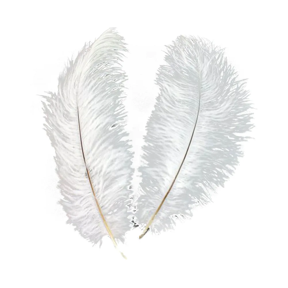 

5pcs 30-35Cm Ostrich Decoration Natural Artificial For Wedding Home Party Craft Trim Costume White Craft