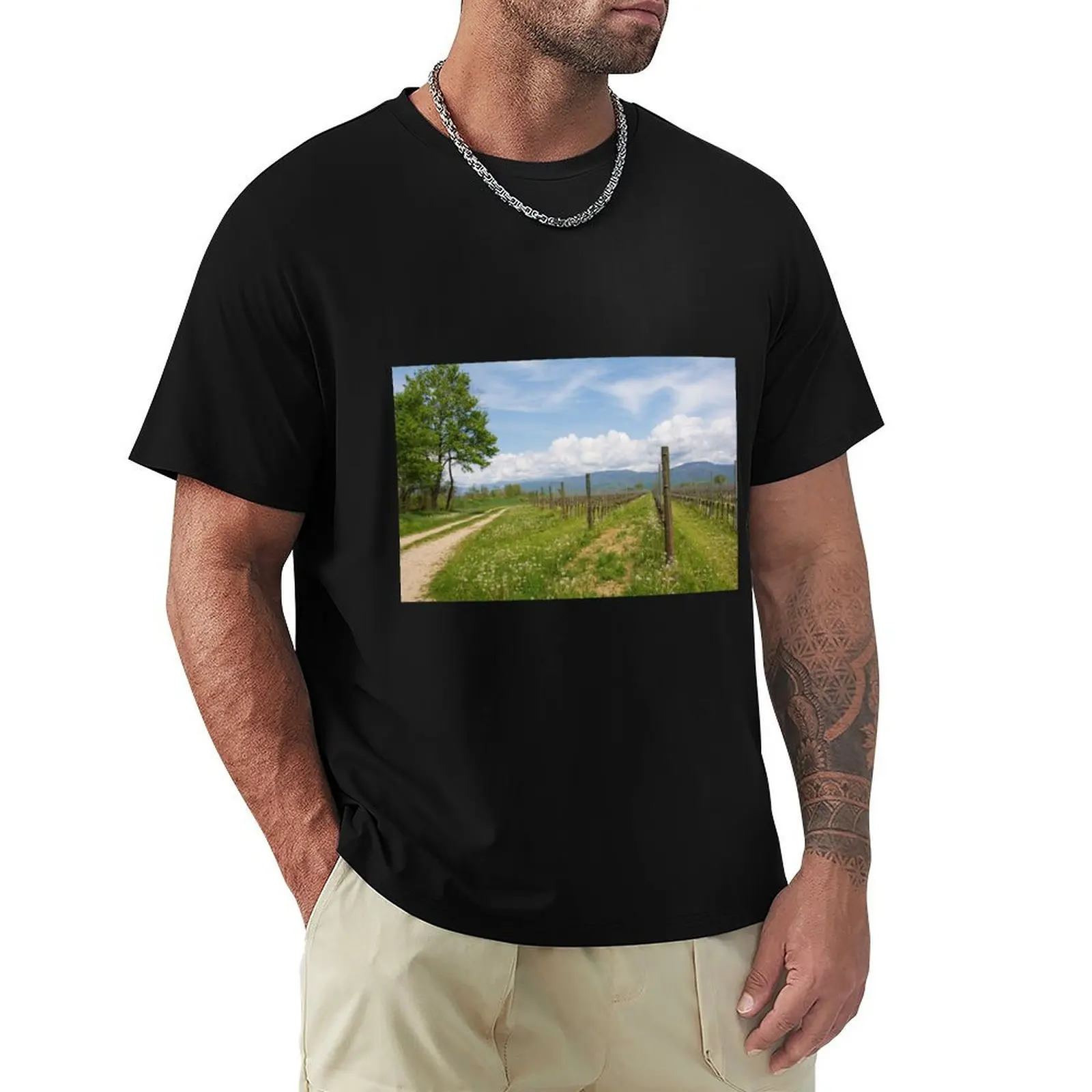 Spring Landscape Near Orzano in Italy T-shirt quick drying plain t shirt men