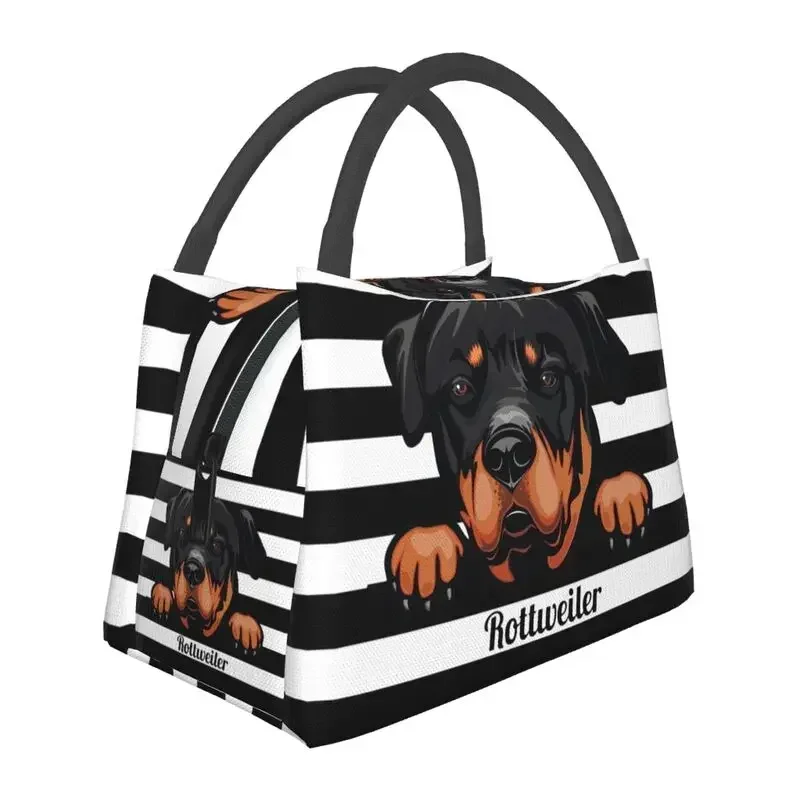 Sac à lunch personnalisé Peeking Dog Rottweiler pour hommes et femmes, glacière chaude, boîte à lunch isolée pour le bureau, sacs à lunch de voyage