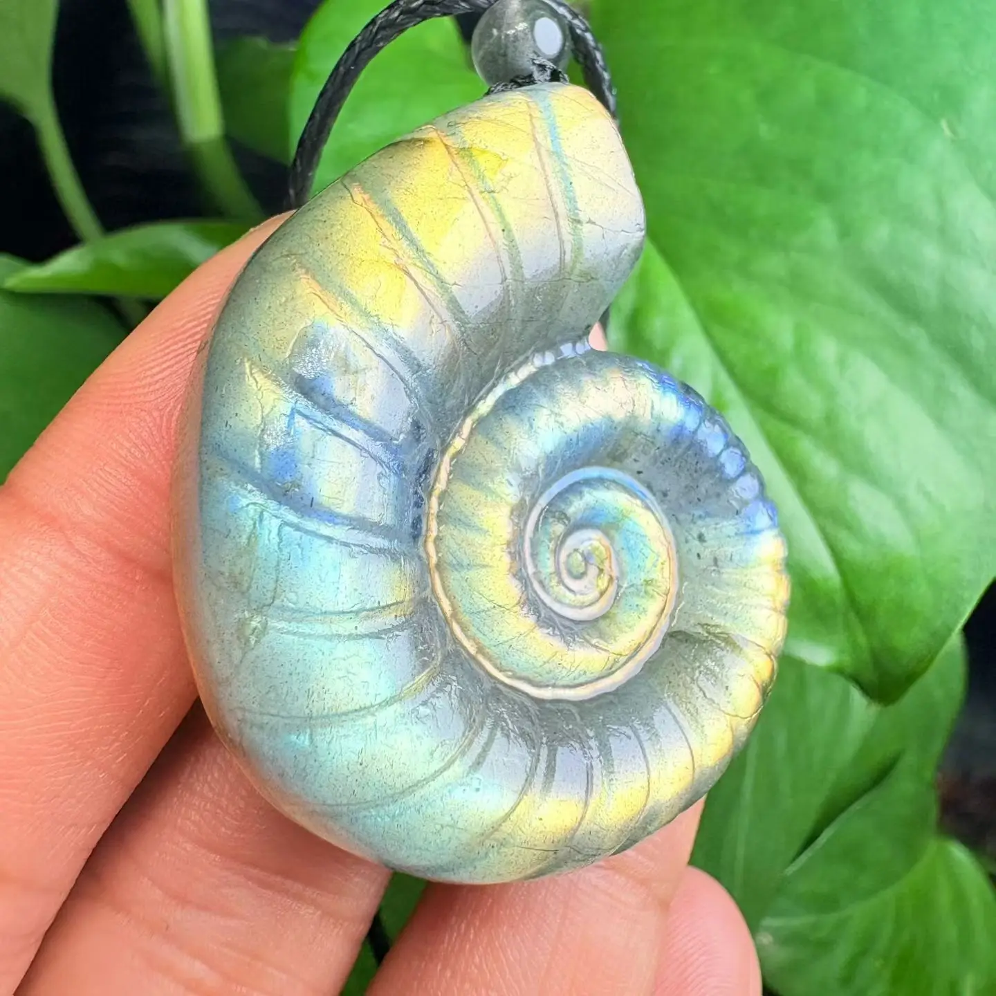 

1 шт. Fengbaowu натуральный лабрадорит раковина морская улитка кулон 35x43 мм Рейки целебный камень модные украшения подарок для женщин и мужчин