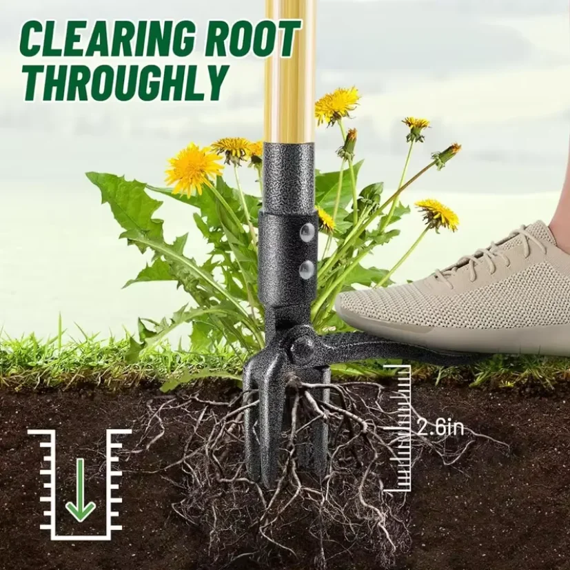 Heavy-Duty Stainless Steel 4-Prong Weed Puller, Adjustable Height Lawn with Long Handle, Sturdy Root Killer for Root Removal