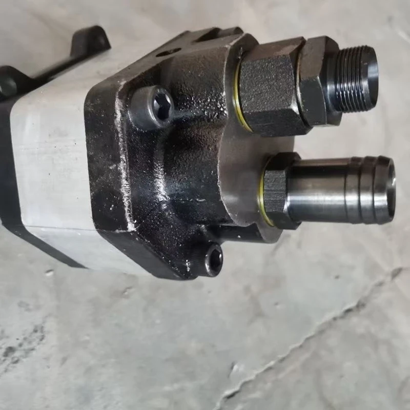 50 63 80 Hydraulic Gear Pump Oil Pressure Pump Rear in and Rear Out Oil Pump