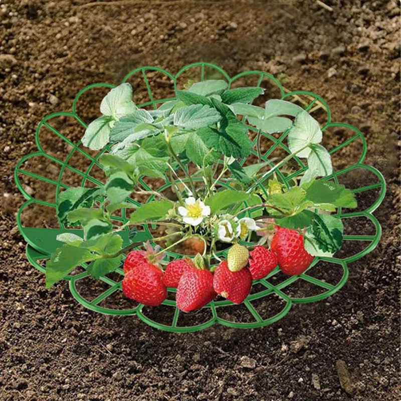 1PC Strawberry Growing Racks Protector Frame Holder Cage From Mold Rot Dirt Strawberry Plant Supports With 3 Sturdy Legs