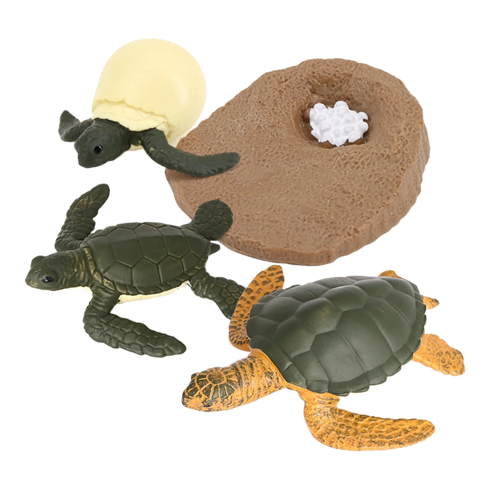 

Simulation Turtle Animal Life Cycle,Turtle Animals Growth Cycle Model Animals Growth Cycle Educational Kids Toys D