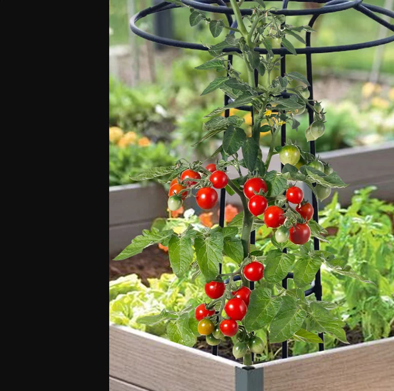 105/145cm Garden Trellis Umbrella Shaped Rose Climbing Vine Frame Stand Multifunctional Iron Wire Lotus Climbing Vine Stand