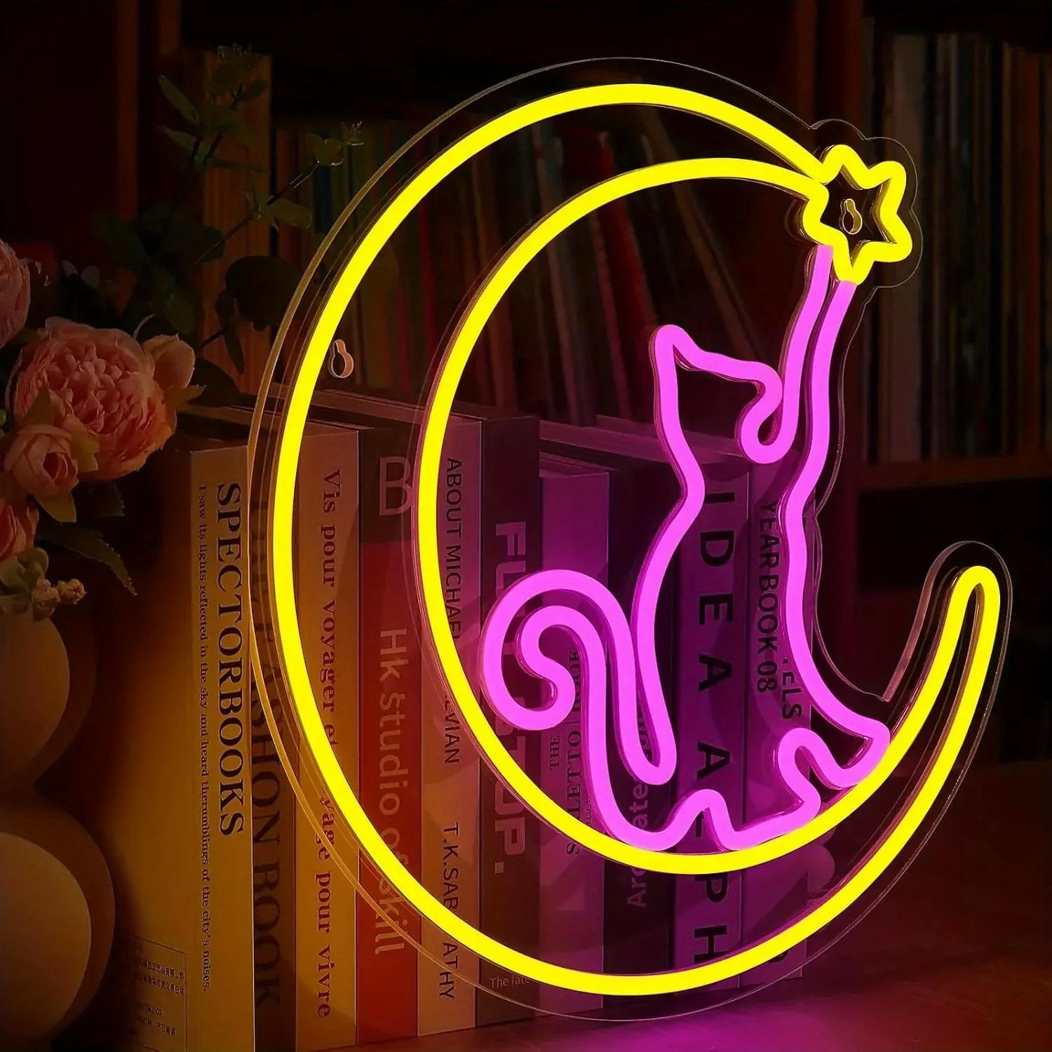 Stargazer chat lune néons-pour chambres d'animaux Art tenture murale chambre salon Bar décoration murale LED lumières décoratives