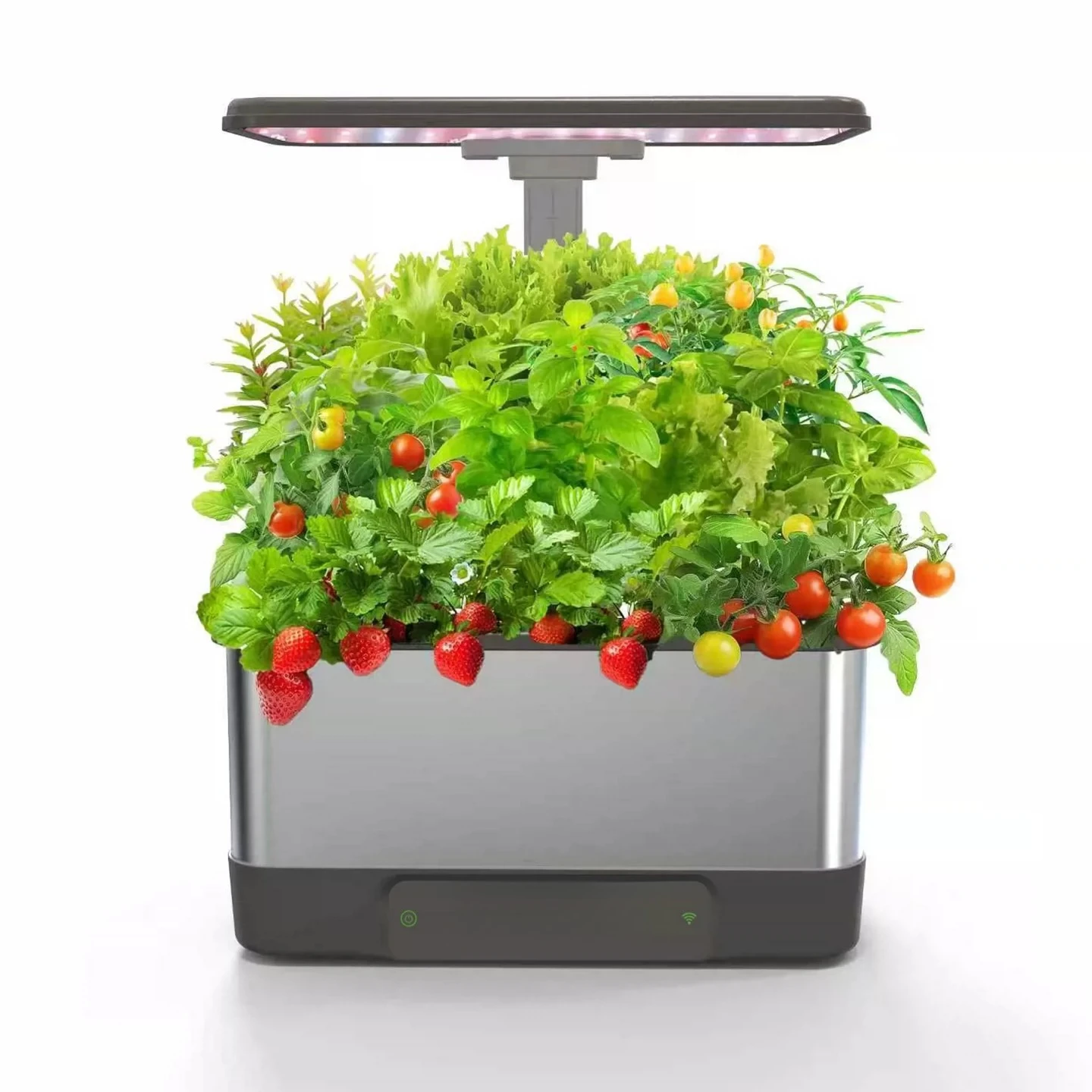 Kit de Sistema de Cultivo Hidr - Hydroponic Kit avaliação e preço