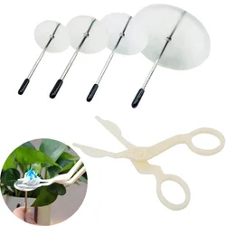 Fondant Flower Cake Decorating Set Cake Flower Stand Nail Cream Cake Scissors For Icing Cream Flower Transfer Decorating Tools