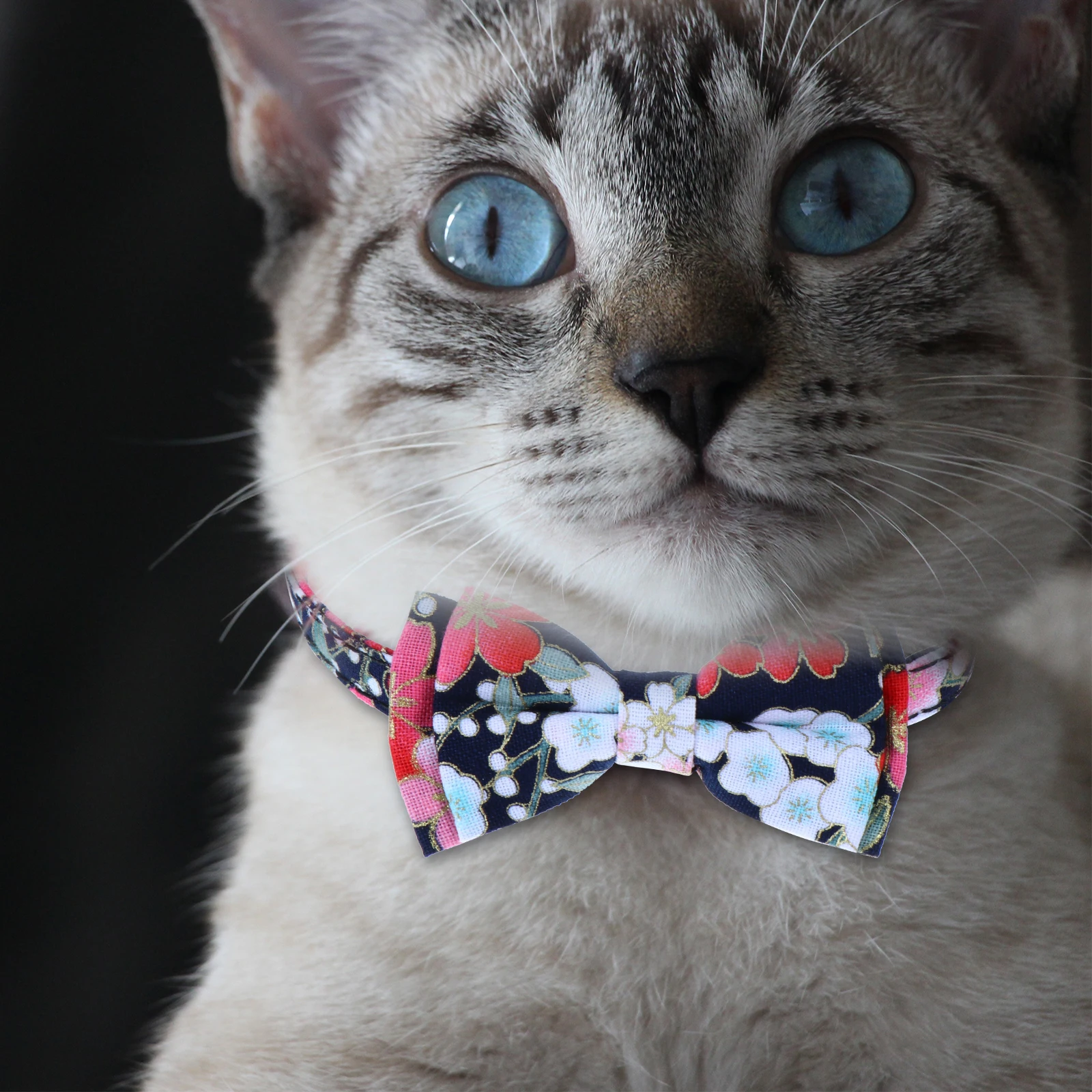 

3PCS Cat Collar Sweet Lovely Pet Necklace Adjustable Bell Bell Collar For Pet Cloth Kitten Christmas Birthday Wedding Photos