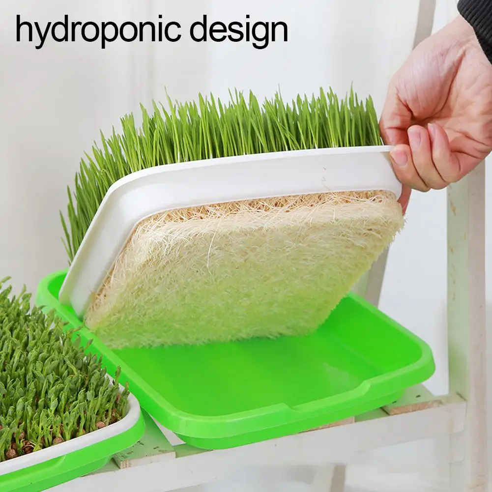 Home Seed Germination Tray Seedling Planting Pot Wheatgrass Cultivation Soilless Tray For Gardening And Agriculture ﻿