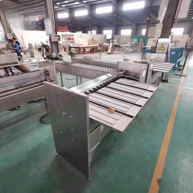 China Supplier Automatic Egg Weight Grading Machine Egg Sorter With High Quality
