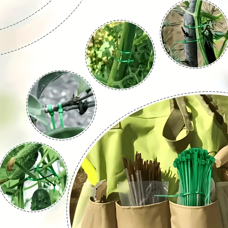 Self locking plant ties, durable and wear-resistant, used to secure vines, multi-purpose horticultural binding solution