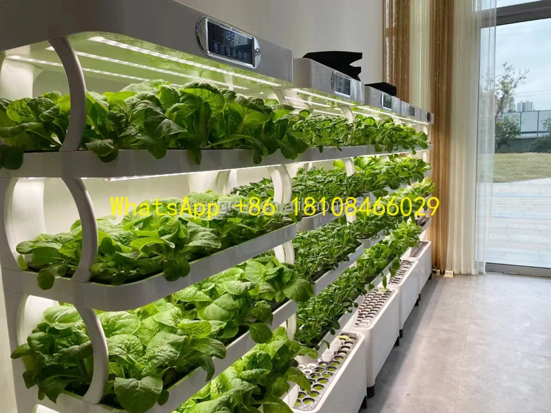 

Complete Hydroponic System Hot Selling Garden Planter Smart Led Grow Light Microgreens and Vertical Greenhouse