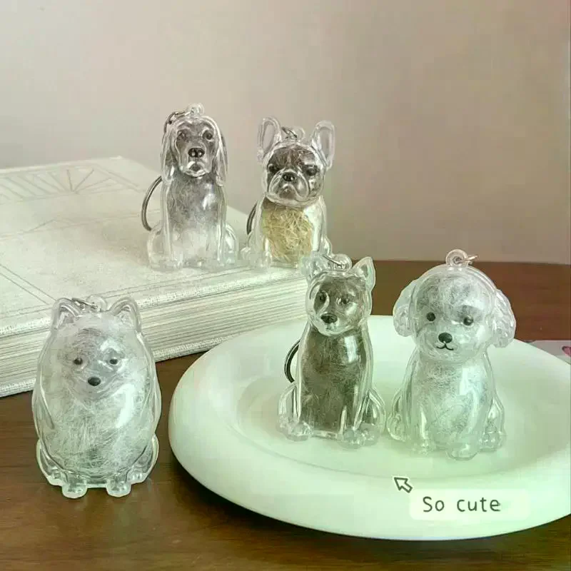 Cute Dog Hair Storage Keychain Transparent Pet Fur Keepsake Capsule Bag Pendant Decor Souvenir Collection Gift Memorial Jewelry