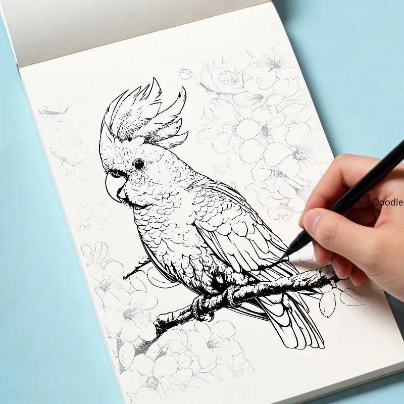 An Adult Anxiety Relieving Coloring Picture Book Black and White Line Drawing, Flower/bird/mandala and Other Themes, 24 Patterns