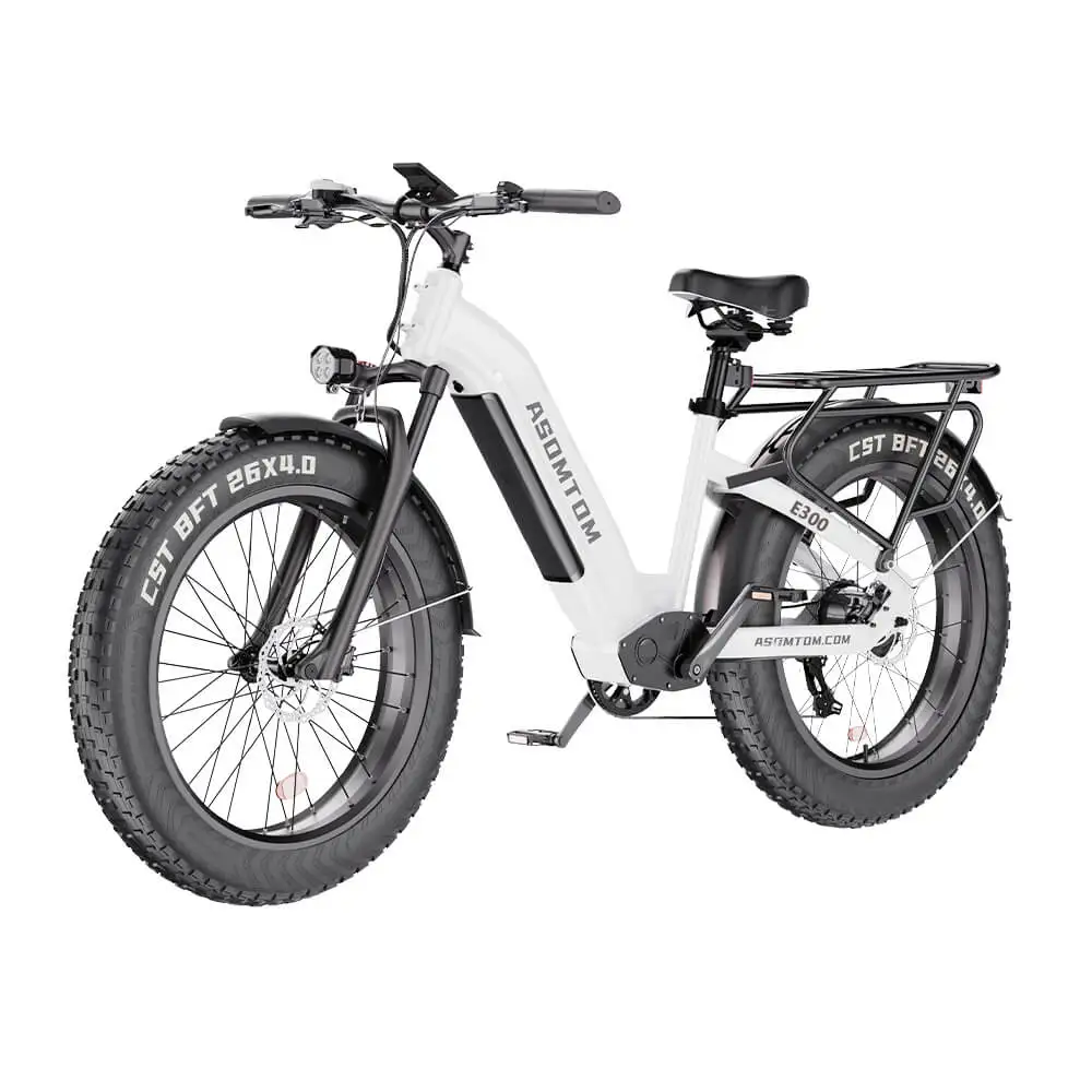 E300 E-BIKE High Speed 48V 750W 26inch 4.0 tyre All Terrain Beach Snow Fat Tire Mountain Dirt Electric Bike for Adult