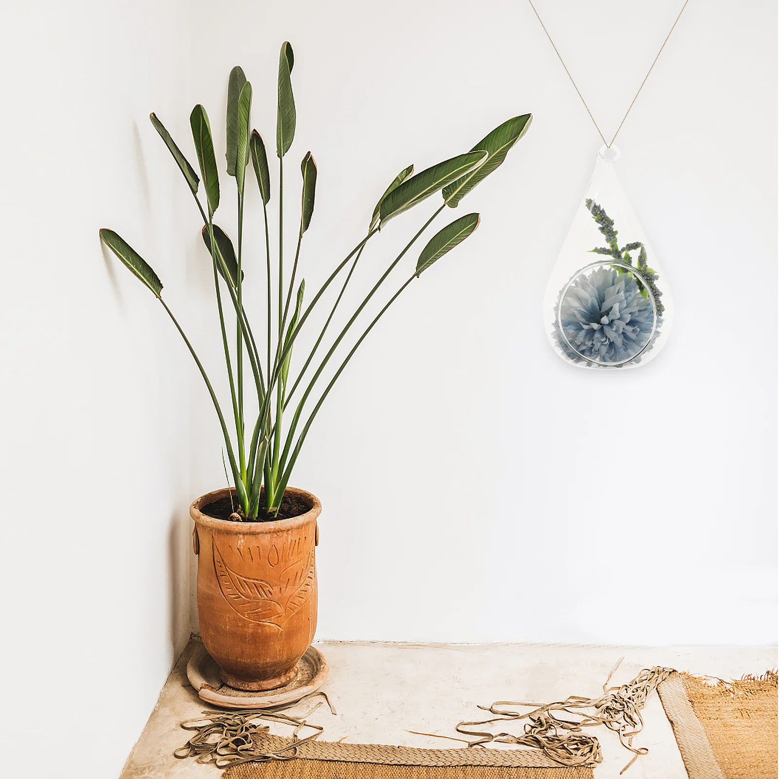 

2Pcs Transparent Glass Hanging Vase Small Plant Holder for Flower Arrangement DIY Microlandscape Bottle Home Decorative Vase