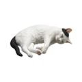 C sleeping