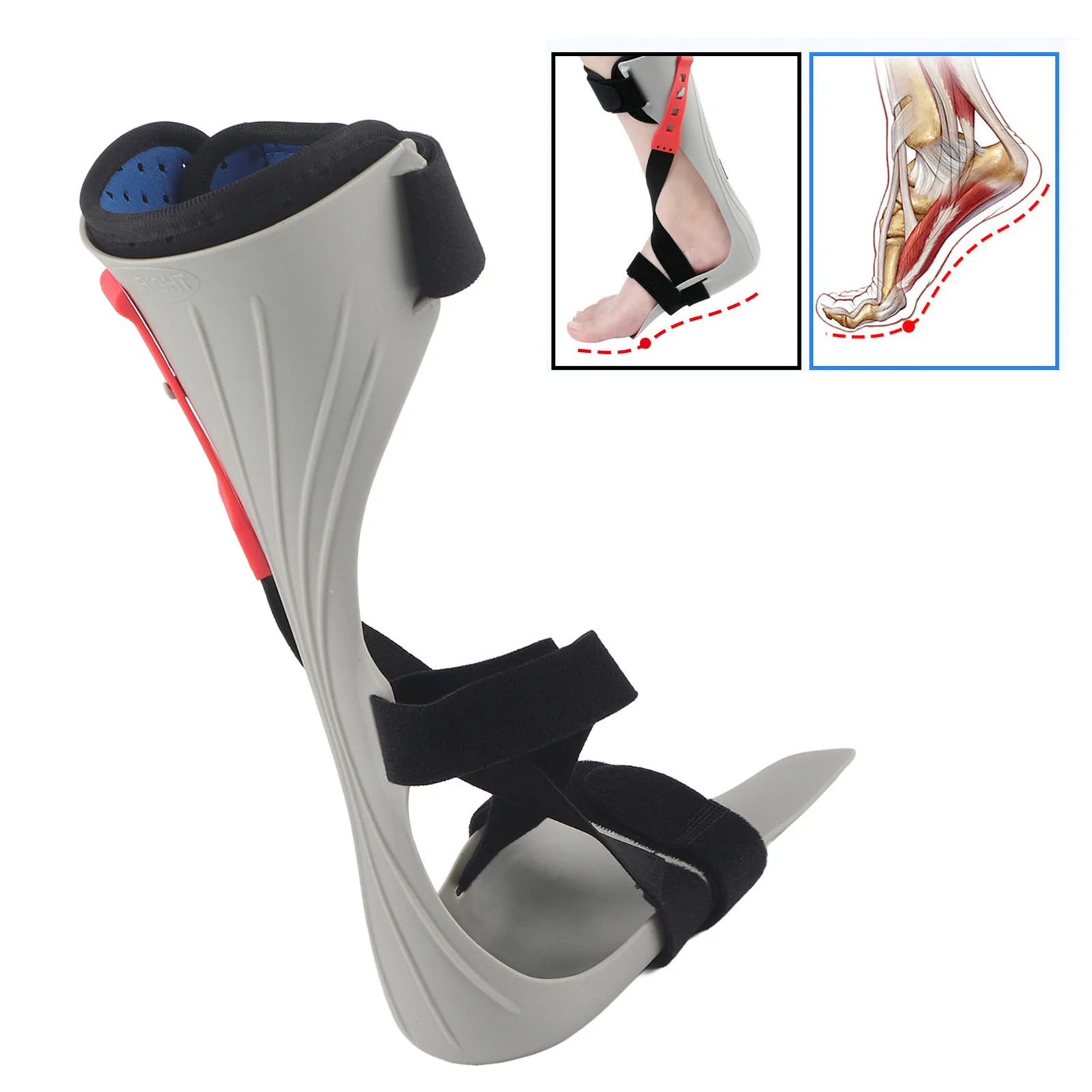 

Brace Ankle Support Ankle Support Stable Fixed Strap Design Ankle Compression Sleeve for Weak Foot Muscles Orthopedics