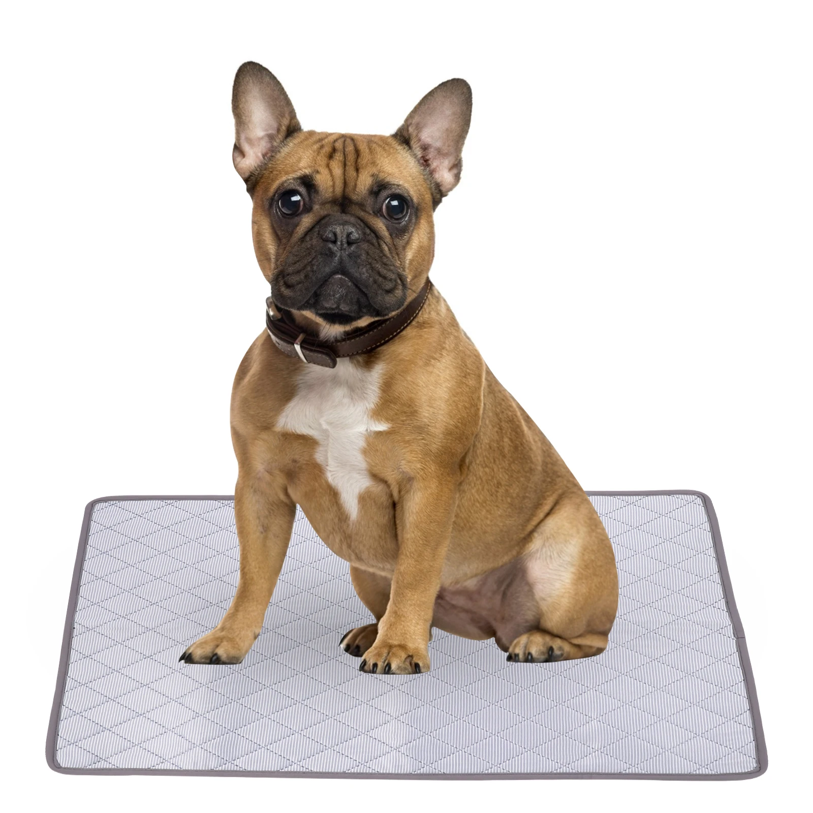 

Pet Pee Pad Washable Reusable Puppy Dog Training Mat Absorbent Leak Proof Cleaning Supplies Cotton Polyester Material