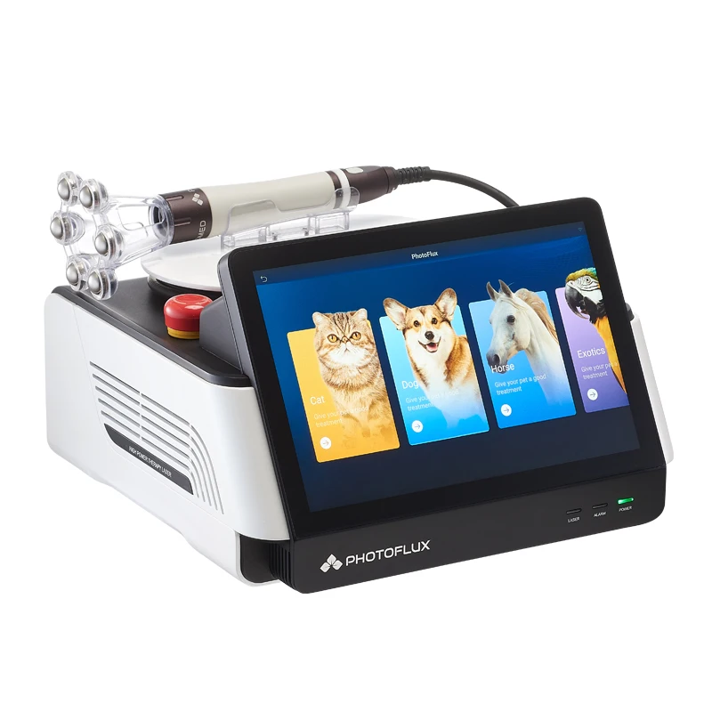 Pet Clinic Veterinary Laser Animals Small Weight Surgery Therapy VET Laser