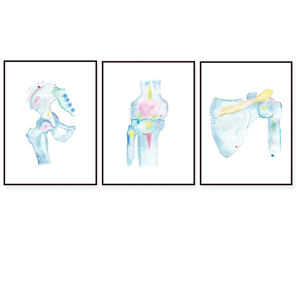 Shoulder, hip, knee art watercolor anatomy print, physiotherapy artwork, neurosurgery medical office wall decor poster,