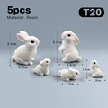 5 piezas Rabbit-T20