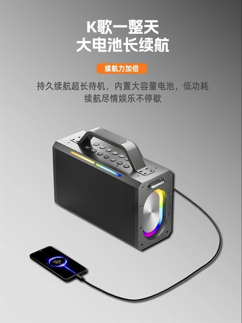 Altoparlante Bluetooth Karaoke da esterno, subwoofer grande, connessione Bluetooth, batteria integrata