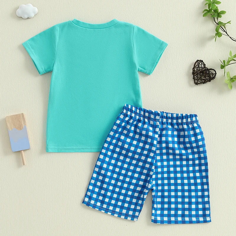 Boys Summer Outfit Sets with Short Sleeve O Neck Chick Golf Court Cattle Head Embroidery Tops and Plaid Shorts - Stylish and