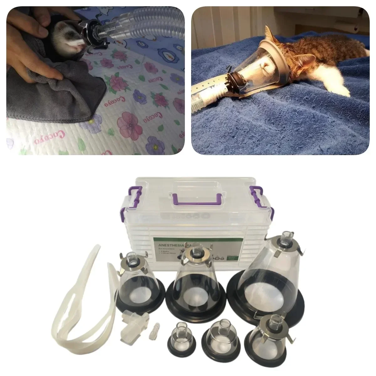 Maschera per la respirazione degli animali domestici Kit per anestesia per animali per gatti, cani, uccelli, serpenti, ratti con ossigenazione,