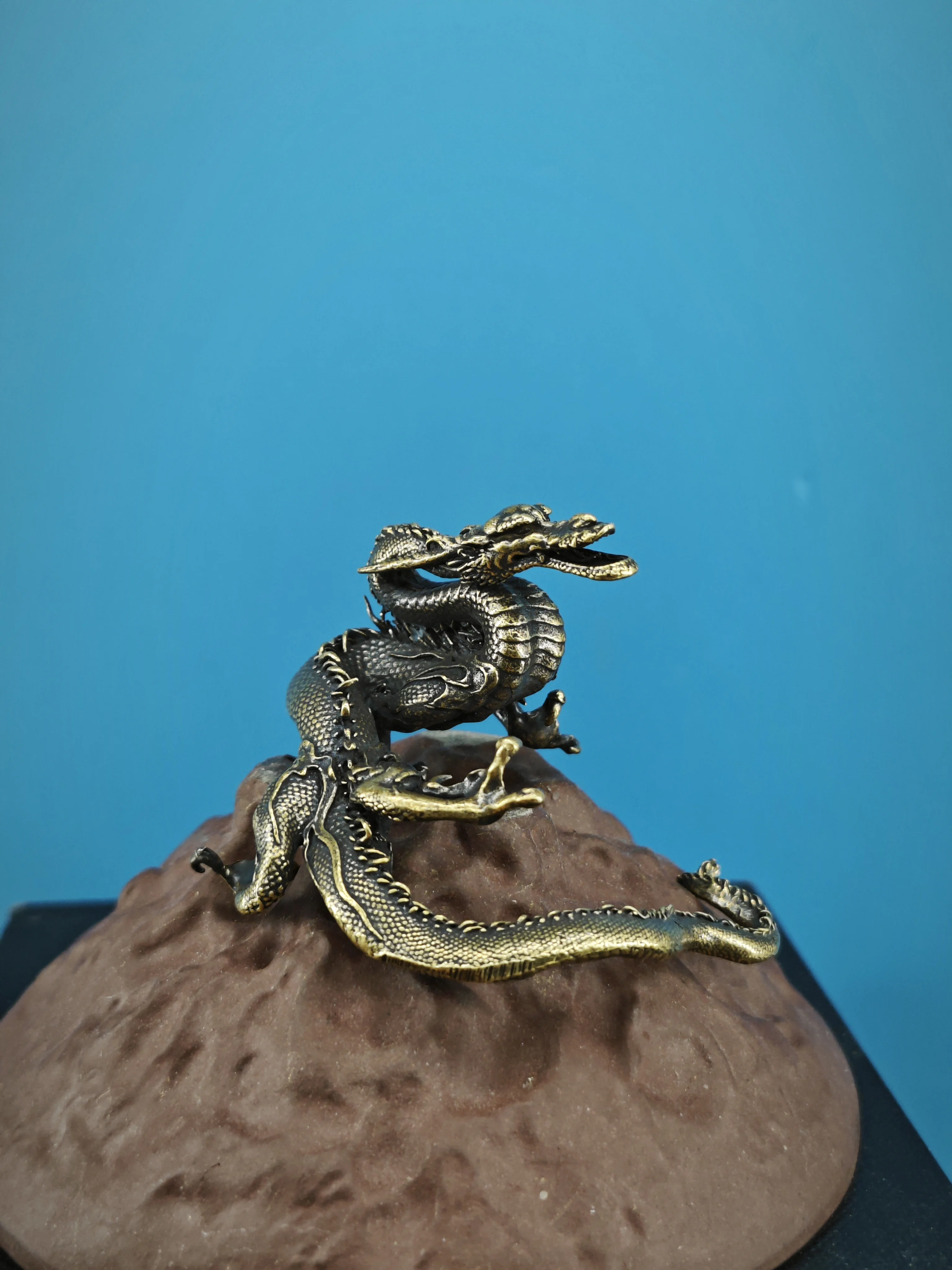 Solid  Shanshanjing divine dragon micro landscape artificial mountain coiled dragon aquarium rockery bonsai stone arrangement