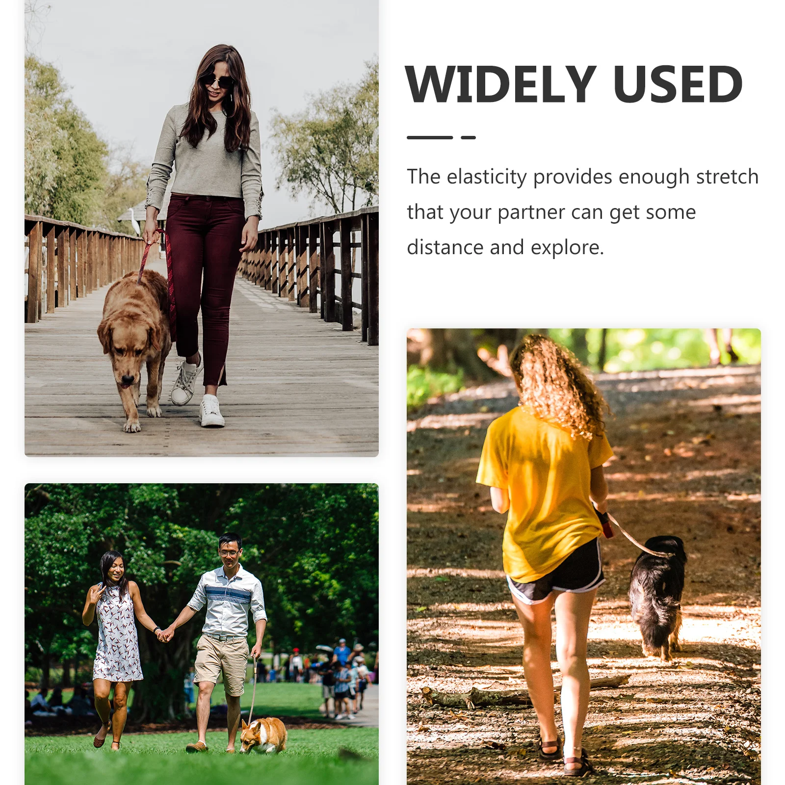 

Pet Leash For Dogs Red Bungee Elastic Durable Long Leash Comfortable Release Outdoor Training Walking Hiking