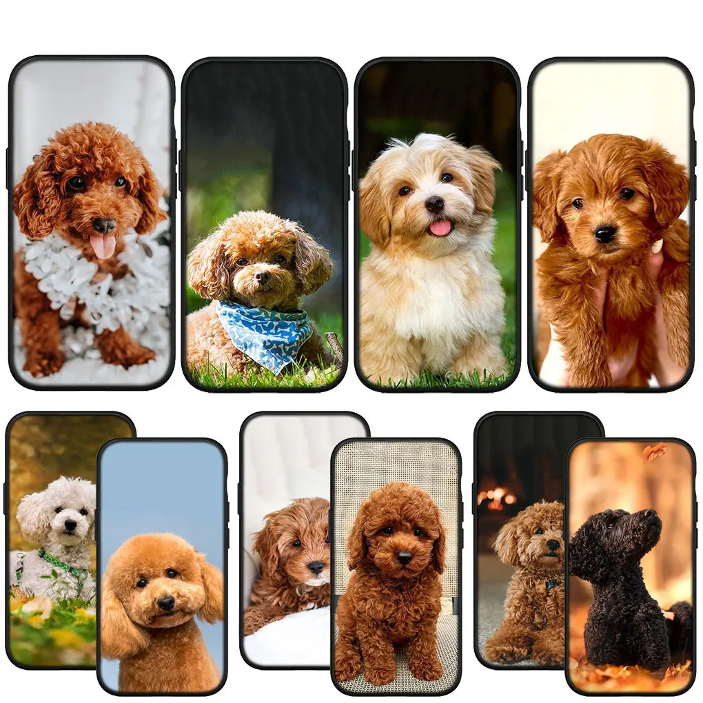 Lovely Poodle Dog Pet Soft Casing for iPhone 14 13 12 Mini 11 Pro X XR XS Max 6 7 8 Plus 6s + SE 2020 Phone Cover Case