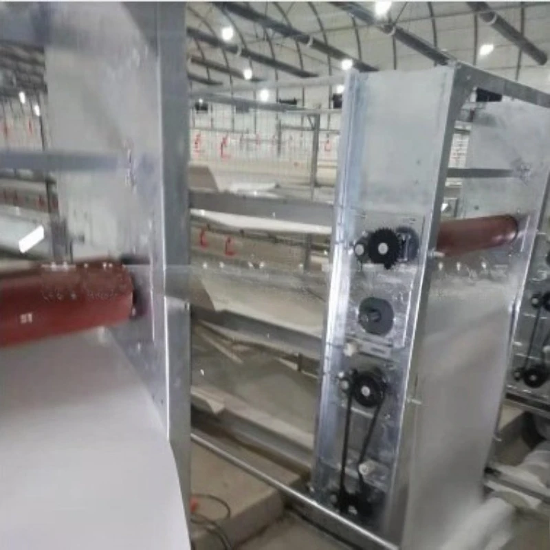 Automatic egg picking machine Automatic cascading layer cage, egg picking machine with egg collection
