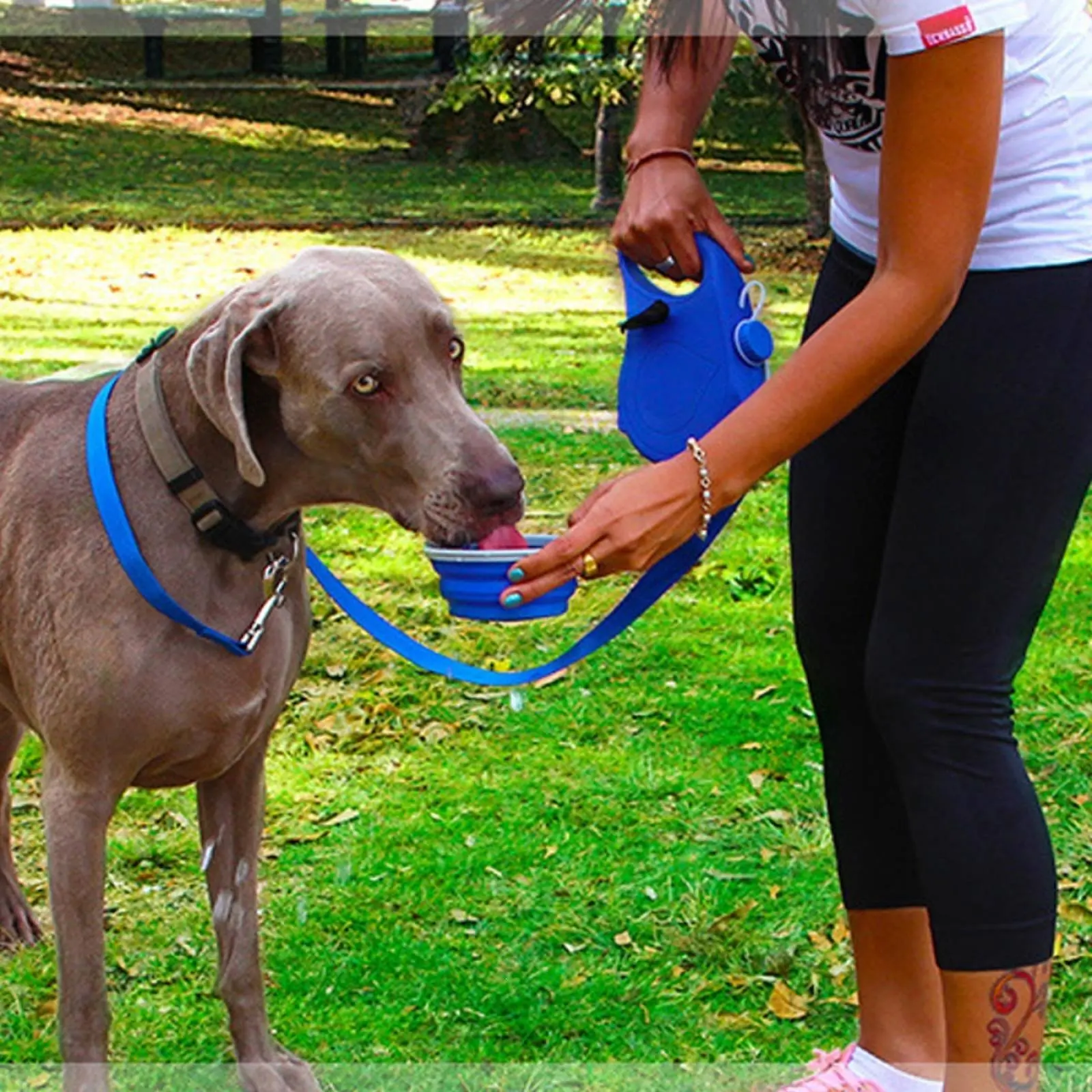 Dog Bottle Leash Combo Lightweight Dog Walking Kit Leash with Water Bowl Leakproof Pet Gear Wear Resistant for Outdoor
