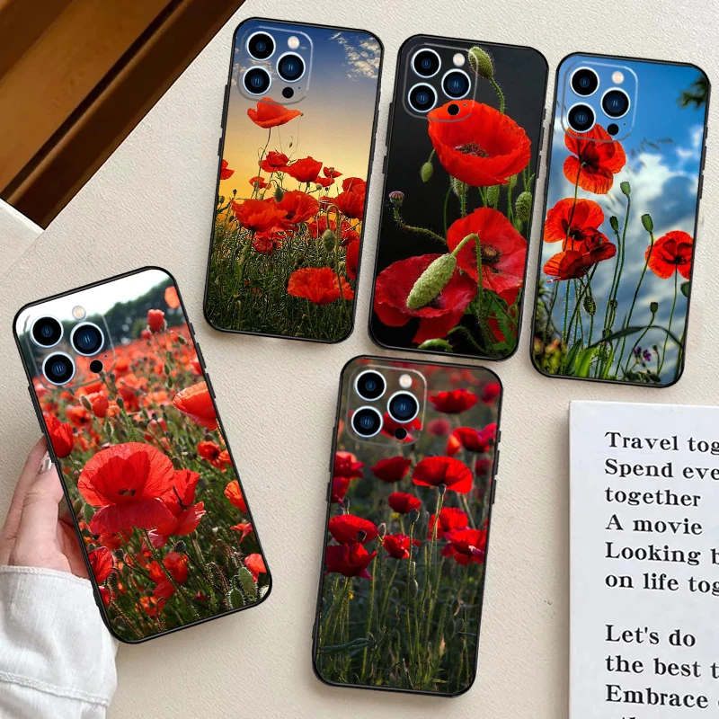 Poppy Flower Bloom … - image